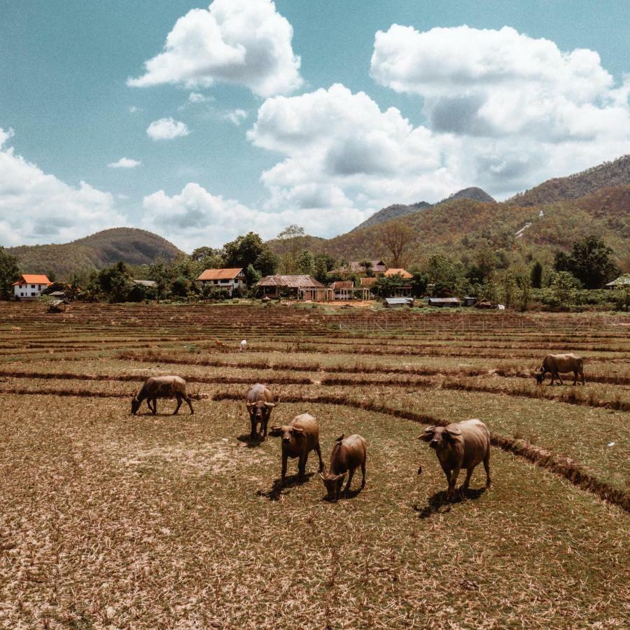 Atlas Valley (Adults Only) Pai Buitenkant foto