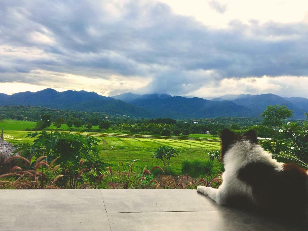 Atlas Valley (Adults Only) Pai Buitenkant foto